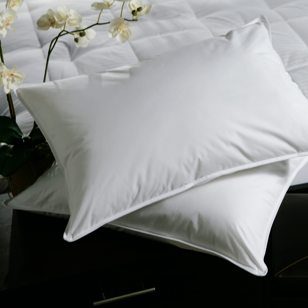 Filled pillow with zippered protector